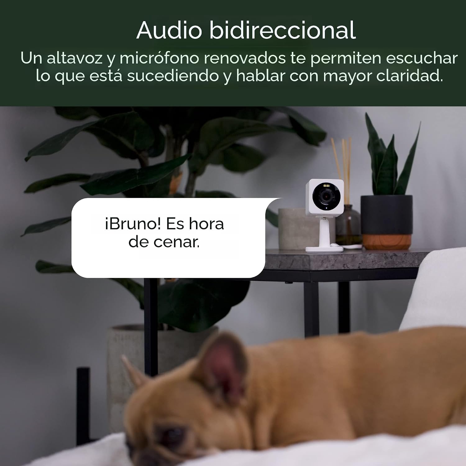 WYZE Cam OG interior/exterior 1080p Wi-Fi cámara inteligente de seguridad para el hogar con visión nocturna a color, con cable, detección de movimiento, audio de 2 vías, compatible con Alexa y Google - Image 6